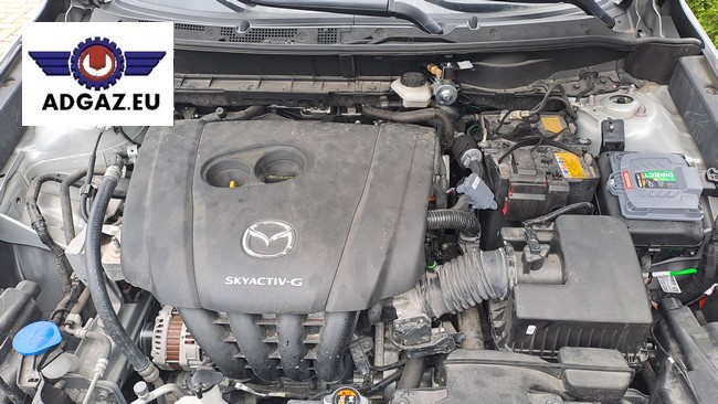 Funkcje tylnej tulei przedniego wahacza w Mazda CX-5